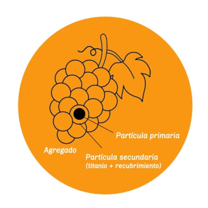 Proteccion solar natural certificada efectiva y segura imagen racimo uvas agregado irrompible nanoparticulas